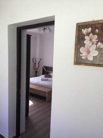 Фото номера Двухместный номер с 1 кроватью Гостевой дом Vila Lion г. Себеш 22