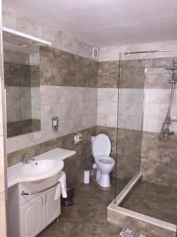 Фото номера Двухместный номер с 1 кроватью Гостевой дом Vila Lion г. Себеш 8