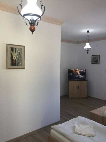Фото номера Трехместный номер Гостевой дом Vila Lion г. Себеш 5