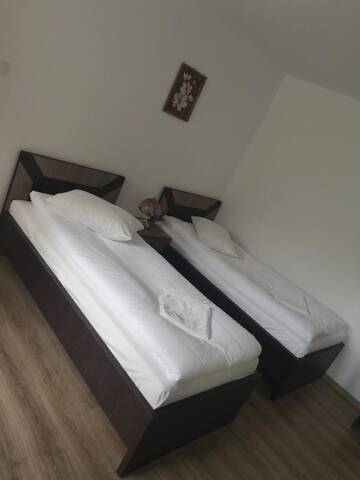 Фото номера Семейный номер Гостевой дом Vila Lion г. Себеш 8